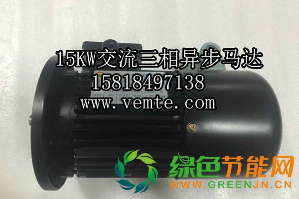 15KW交流三相异步马达1