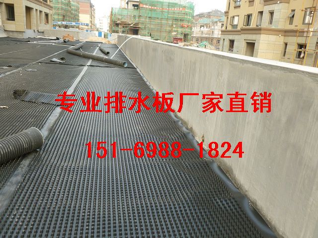 安庆1.5公分车库顶板排水板～滁州2.5公分蓄排水板-- 泰安市绿泰建材有限公司