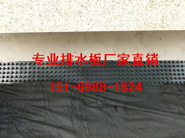 天津2.5公分蓄排水板北京\车库种植蓄排水板-- 泰安市绿泰建材有限公司