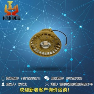 LED防爆燈BFC8150防爆防腐泛光燈廠用防爆平臺燈