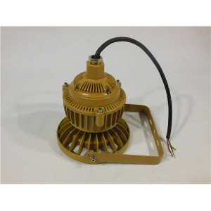 LED防爆泛光燈20W30W護欄式防爆燈BFC8150B