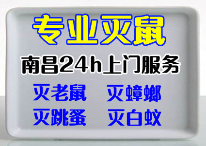 南昌杀虫公司 南昌灭鼠公司 南昌灭蟑螂公司 白蚁防治中心-- 南昌市嘉事洁病虫害防治有限公司