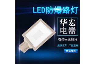 BAD808-L2 LED防爆泛灯 LED防爆路灯 100W