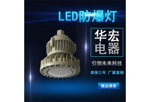 BAD808-M LED防爆灯 LED应急防爆灯