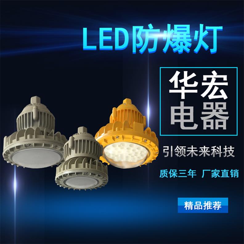 BAD808-M2 LED防爆灯 立杆LED防爆灯