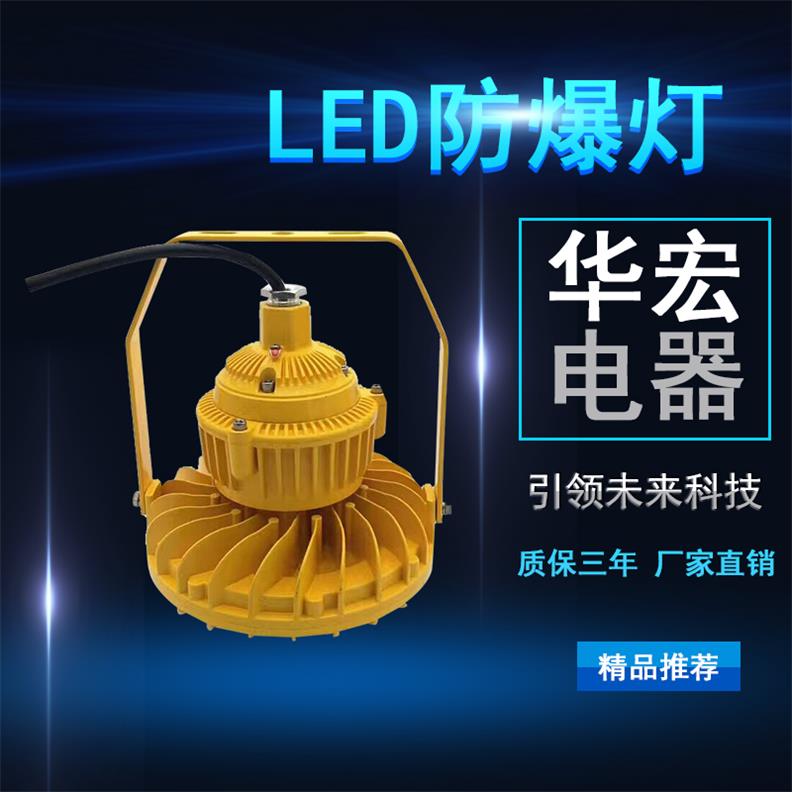 BAD808-M2 LED防爆灯 圆形LED防爆灯