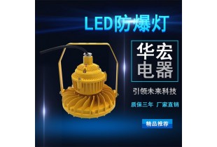 BAD808-M2 LED防爆灯 圆形LED防爆灯