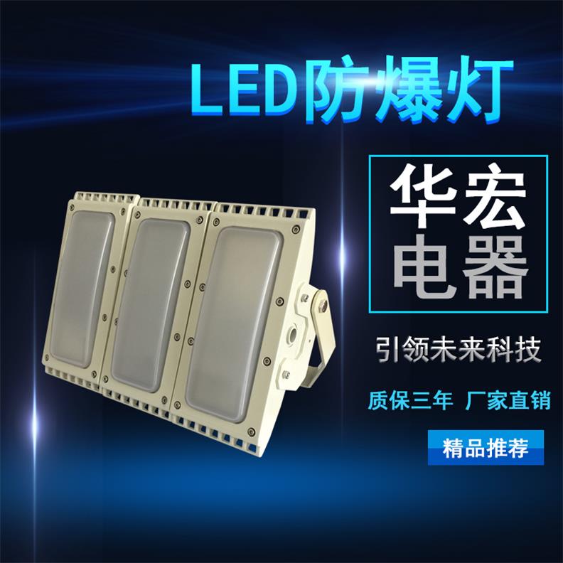 BAX1208固态免维护防爆防腐灯 防爆路灯led