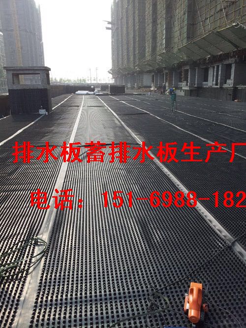 北京3/5公分车库顶板排水板～发货克拉玛依-- 泰安市泽瑞土工材料有限公司