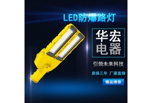 海洋王BLC8615 LED防爆路灯