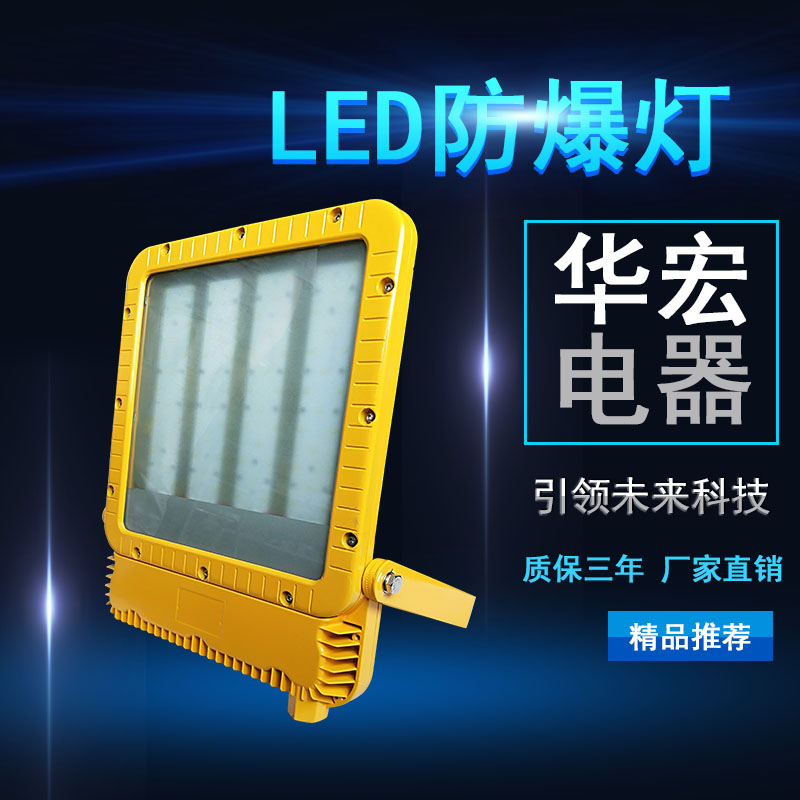 RLEEXL5330 LED防爆泛光灯