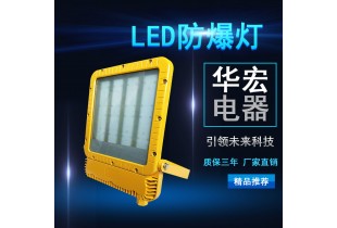 RLEEXL5330 LED防爆泛光灯