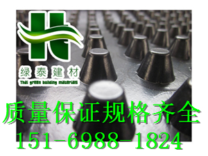 (优质厂家)2公分上海车库绿化种植排水板-- 泰安市绿泰蓄排水板厂家