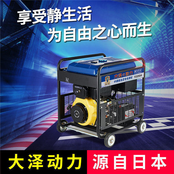 大泽动力250A柴油发电电焊机TO250A-- 上海豹罗实业有限公司