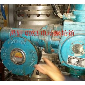 上海禹轩出口型QDX3双级蜗轮箱 配套天然气球阀执行器