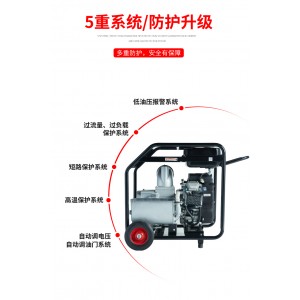 2-8寸汽油柴油大泽内燃式水泵