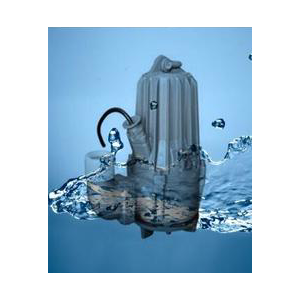 WQ10-10-0.75潜污泵 自耦式安装  含导轨、吊链