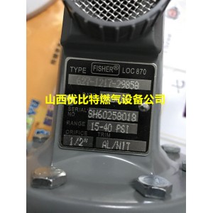 LOC477美国费希尔627-1217-29858调压