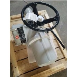 rotork罗托克 IM20MOW5-40角行程电动