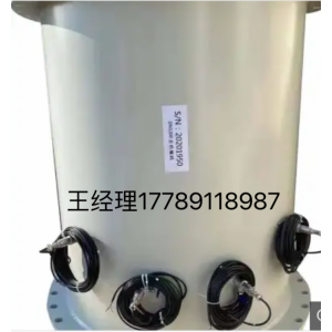 TDS-100F1AC 插入式超声波流量计