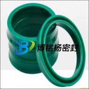 耐腐蚀PFA内包硅胶氟胶VITON密封圈PT